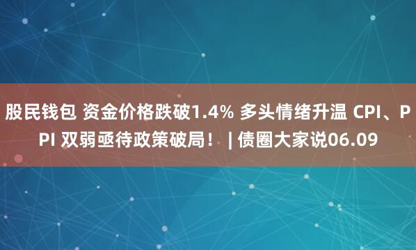 股民钱包 资金价格跌破1.4% 多头情绪升温 CPI、PPI 双弱亟待政策破局！ | 债圈大家说06.09