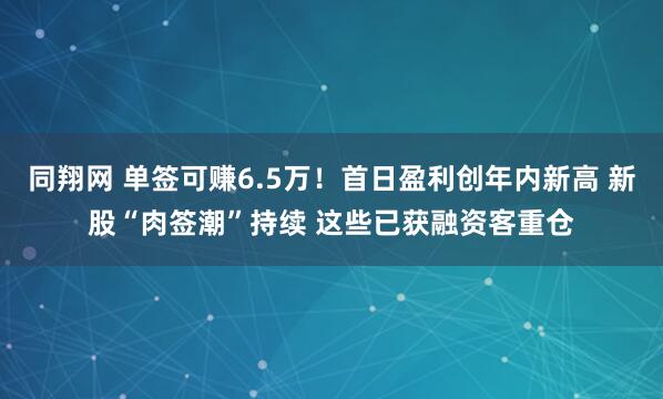 同翔网 单签可赚6.5万！首日盈利创年内新高 新股“肉签潮”持续 这些已获融资客重仓