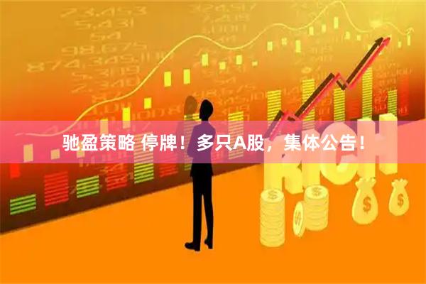 驰盈策略 停牌！多只A股，集体公告！